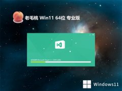 老毛桃win11 64位 免激活推荐企业版v2024.03