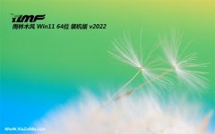 雨林木风win11免激活64位多功能通用版v2022.09